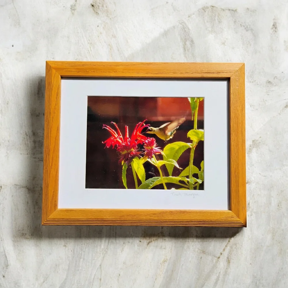Floral Art Framed Print